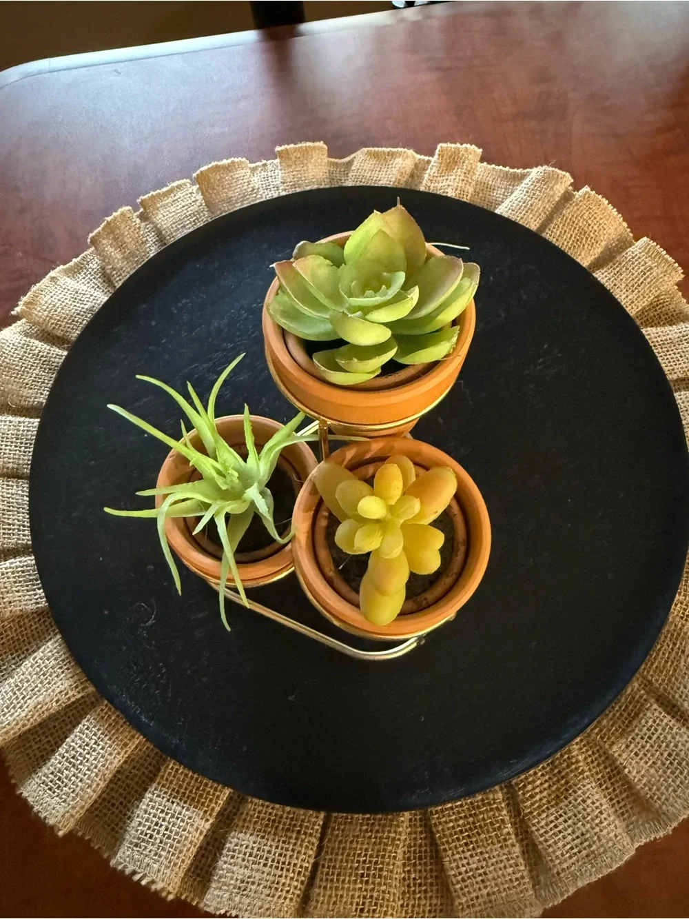 Terracotta Mini Succulent Trio with Gold Stand - Faux Green Plants